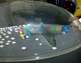 防风林