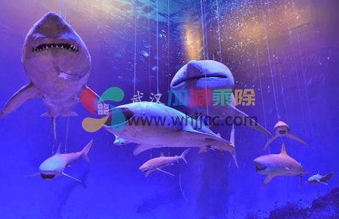 海洋动物世界（VR）
