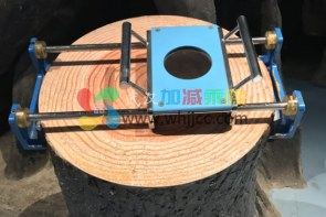 大树有多少岁
